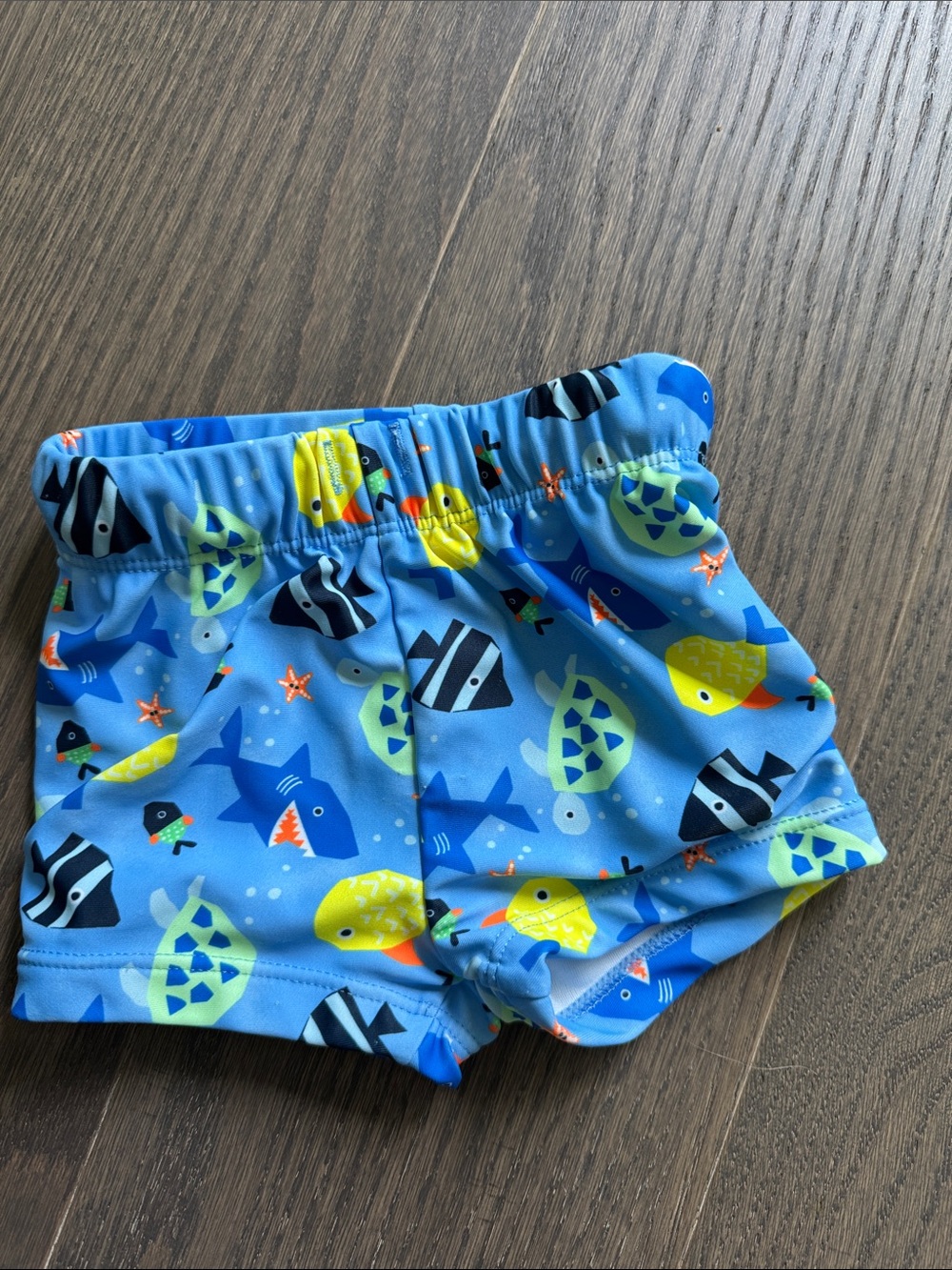 Koala Kids Blue Kids Swim Trunks with Multicolor Fish Print